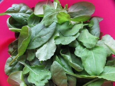 Springtime Gourmet: Baby Greens Salad with Strawberries and Glazed Almonds Image